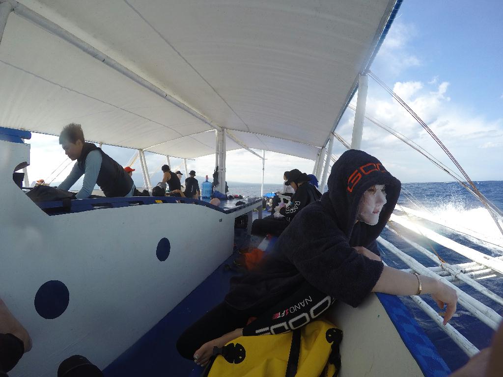 Apo Island