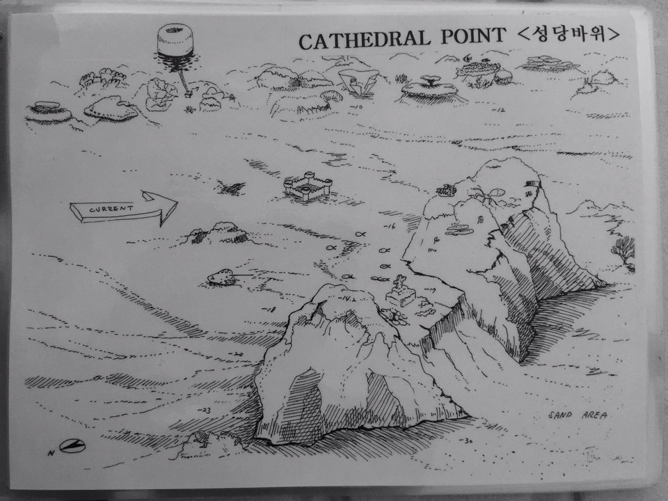 첫 야간 다이빙^^ - 필리핀 아닐라오 SM리조트 - CATHEDRAL MARINE POINT