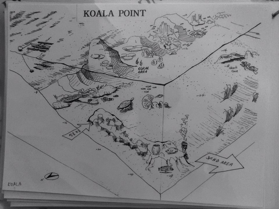 셋째날 두번째 포인트 - 필리핀 아닐라오 SM리조트 -  KOALA POINT