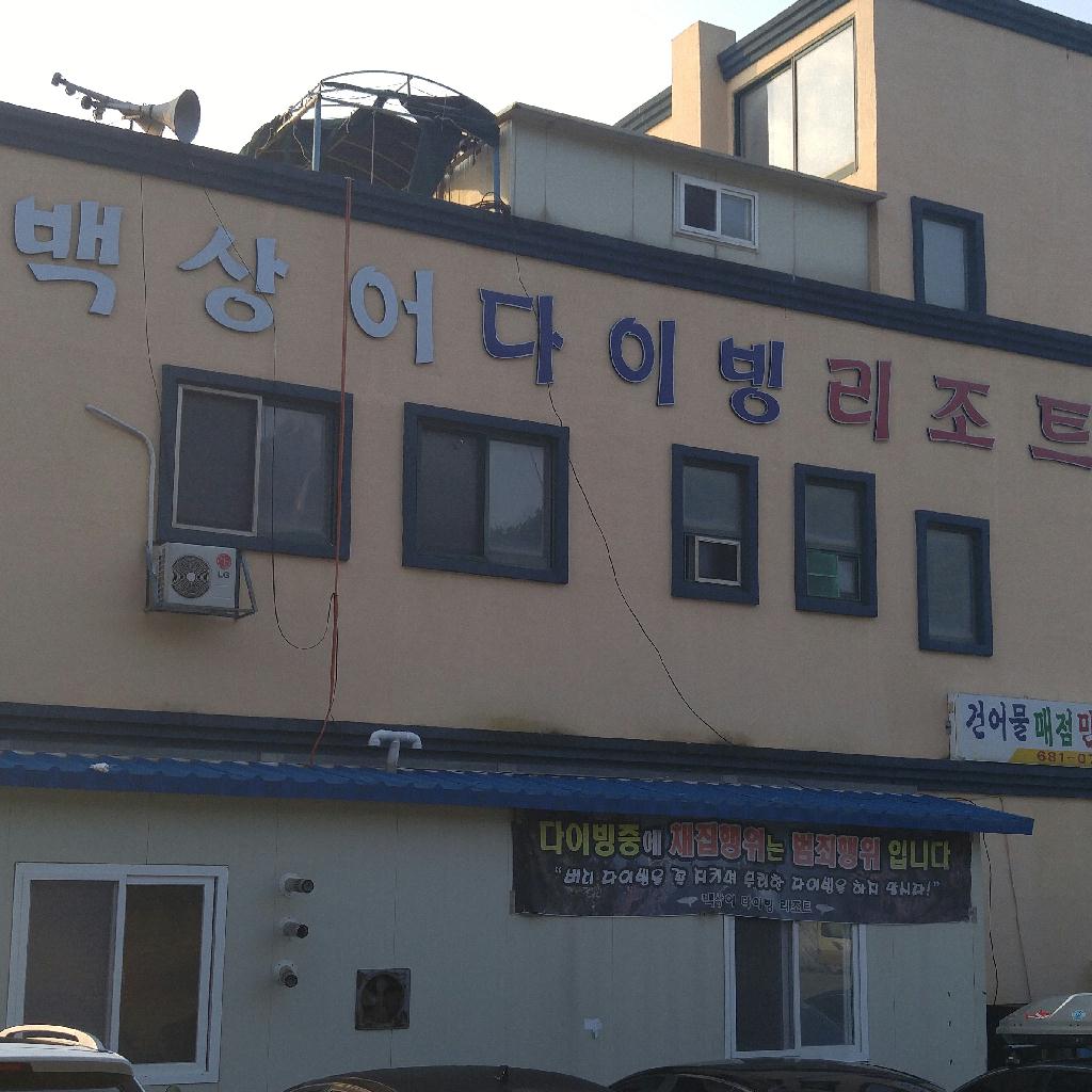 동해 다이빙 연습 - 백상어다이브리조트 - 우럭