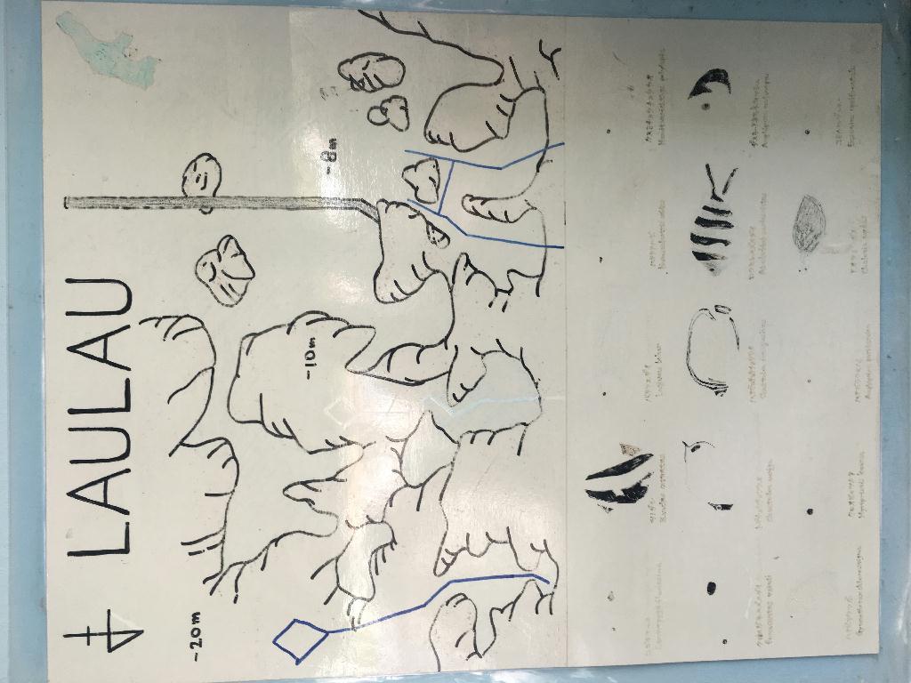 비치다이빙 - 사이판 - 라오라오(Lau Lau)