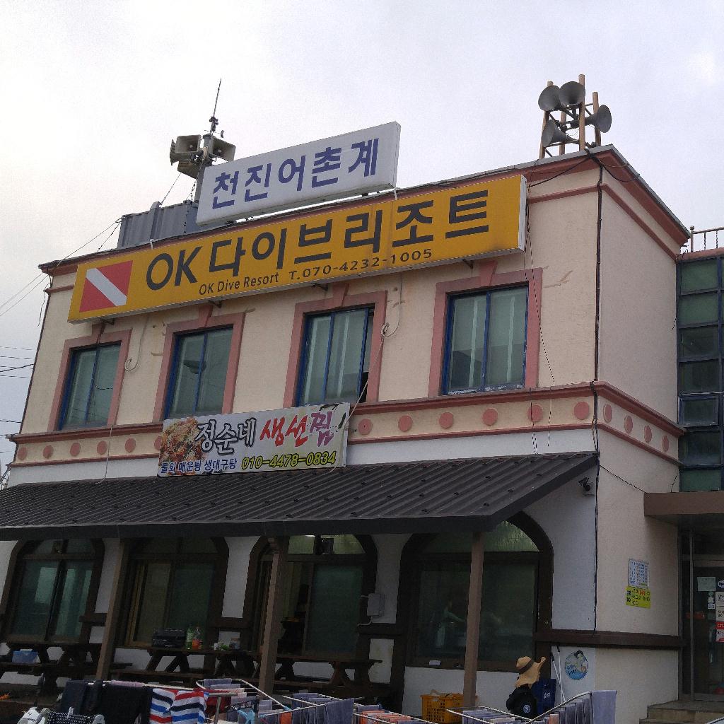 동해 다이빙  - 고성 천진 OK다이브리조트 - 에메랄드