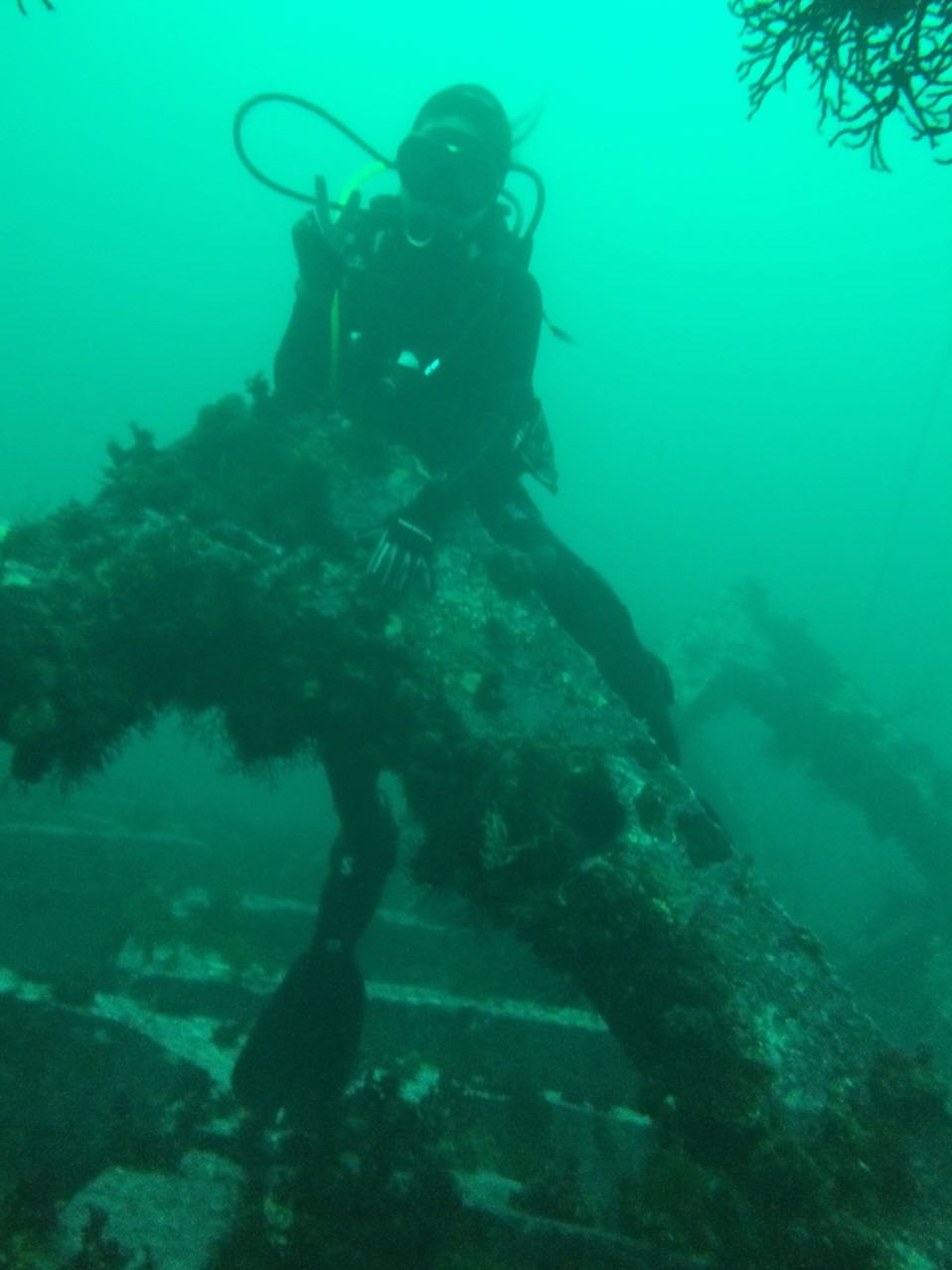 오픈워터교육 - 강릉/사천다이브 - 터널여행