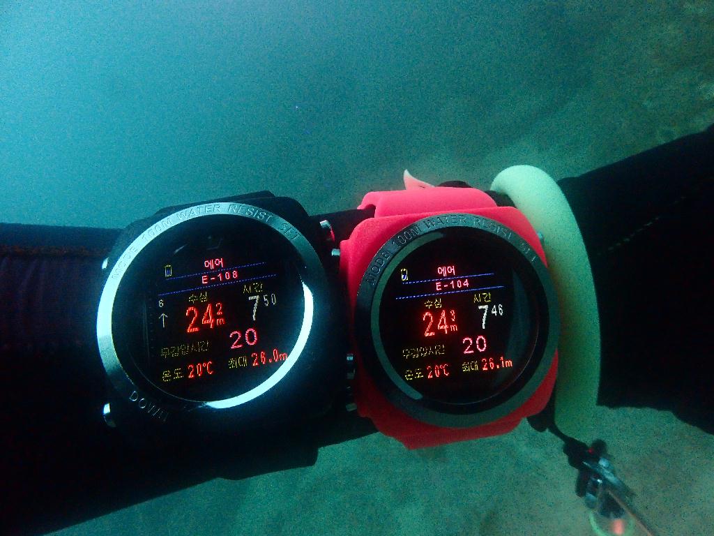 펀다이빙 - 제주도 수중산책 - 안빈낙도