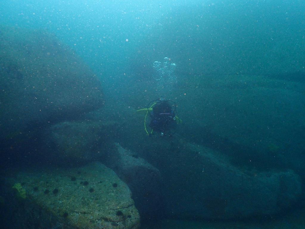 펀다이빙 - 강원도 양양 38마린리조트 - 아치