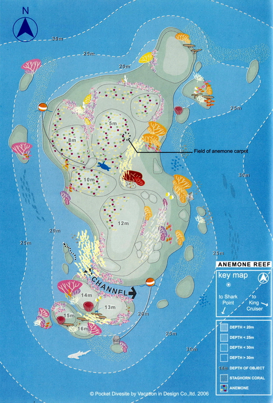 south andaman - Anemone Reef