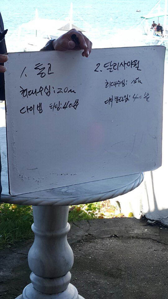 펀다이빙 - 세부 모알보알 - 달리사이월 월다이빙