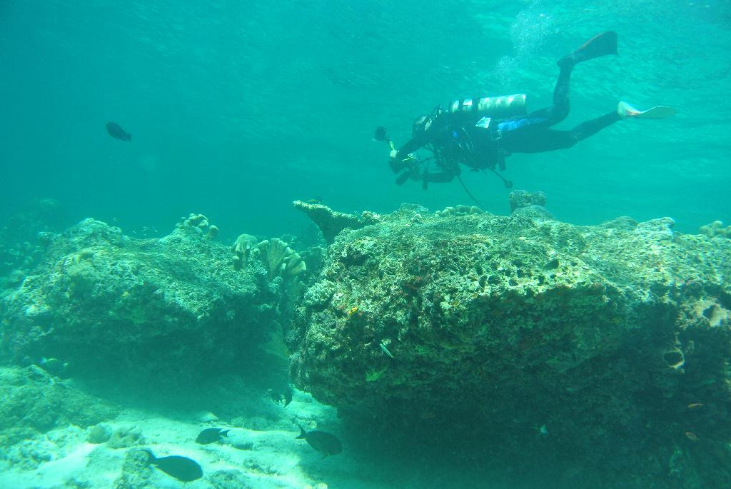 펀다이빙 - 말레이시아_시파단2 - 네번째