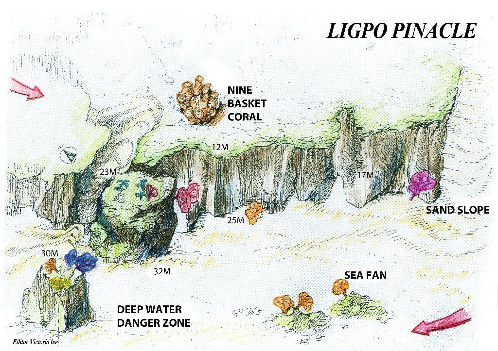 Anilao - Ligpo pinacle