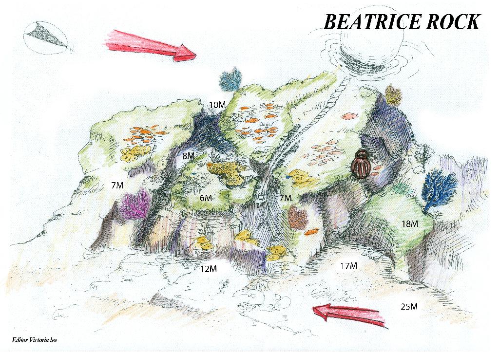 Anilao - Beatrice
