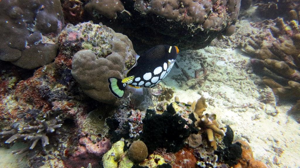 Sipadan