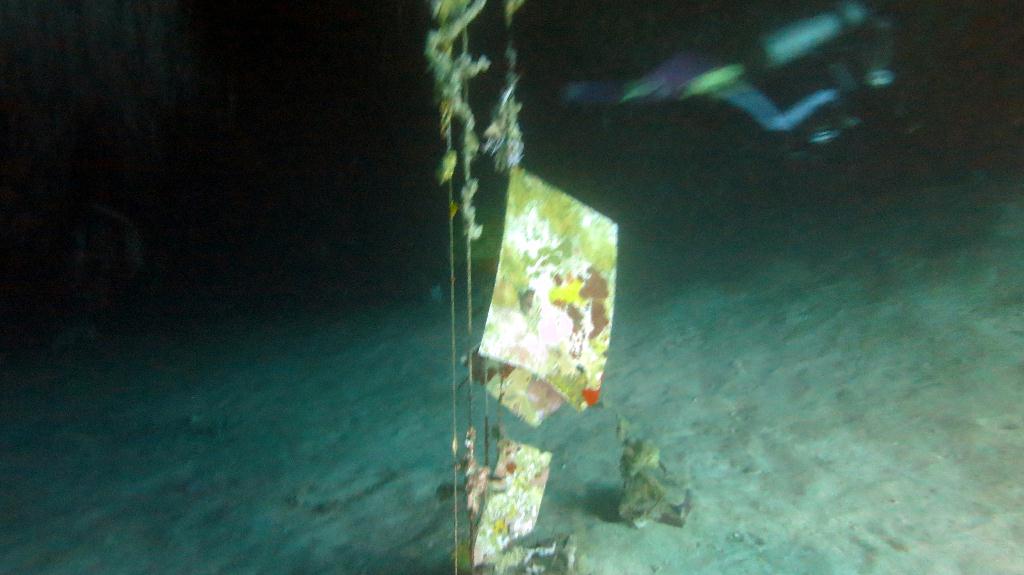 Sipadan - Turtle Tomb