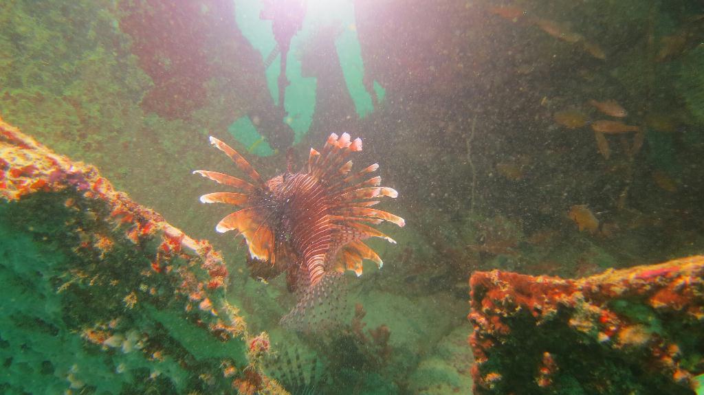 Mabul - House Reef