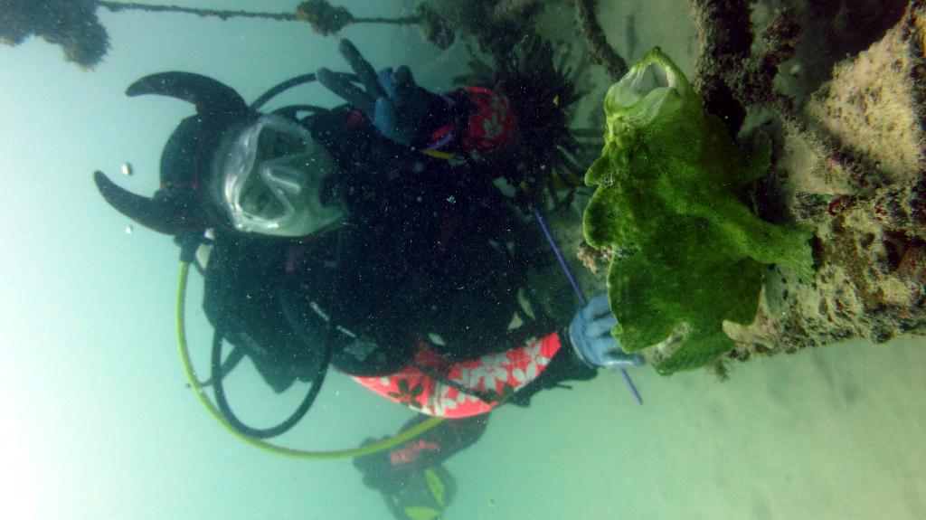 Mabul - House Reef