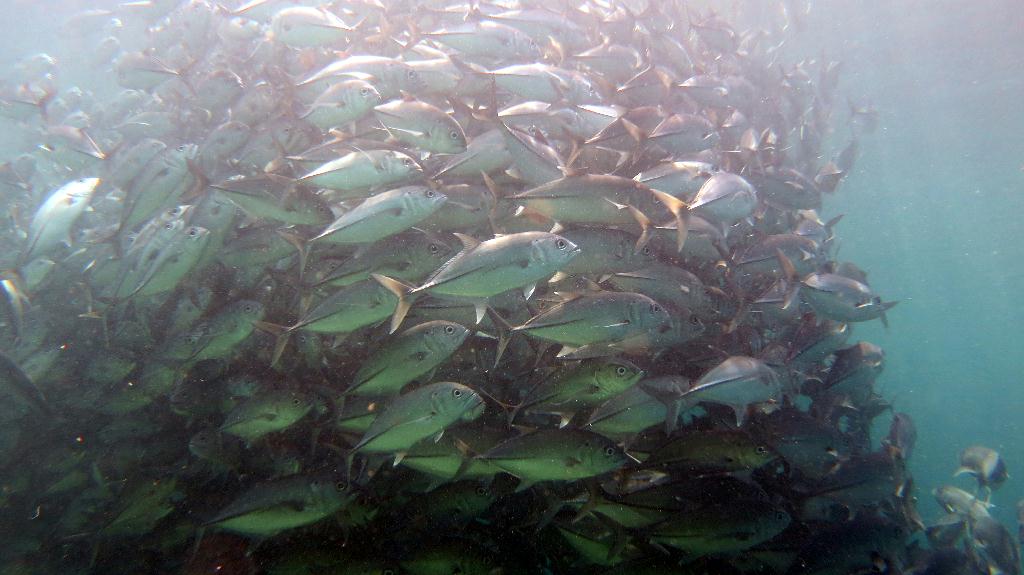 Sipadan