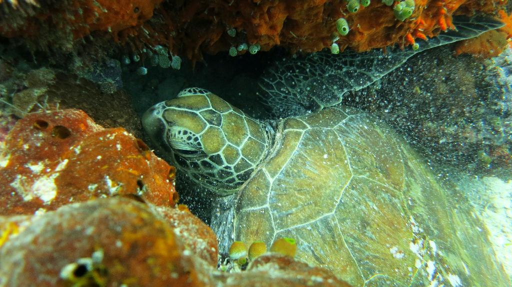 Sipadan