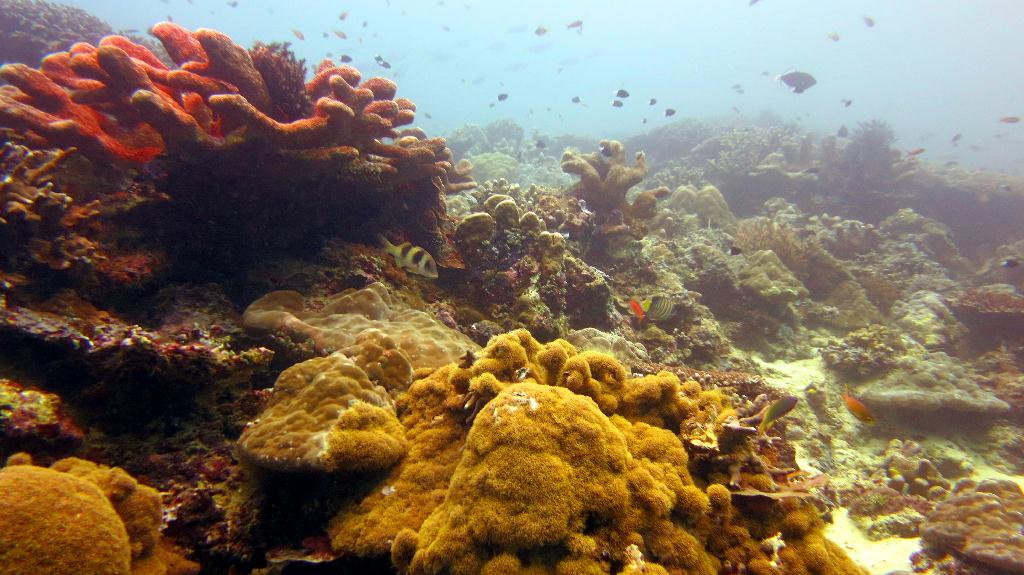 Sipadan