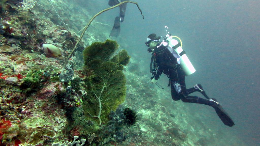 Sipadan