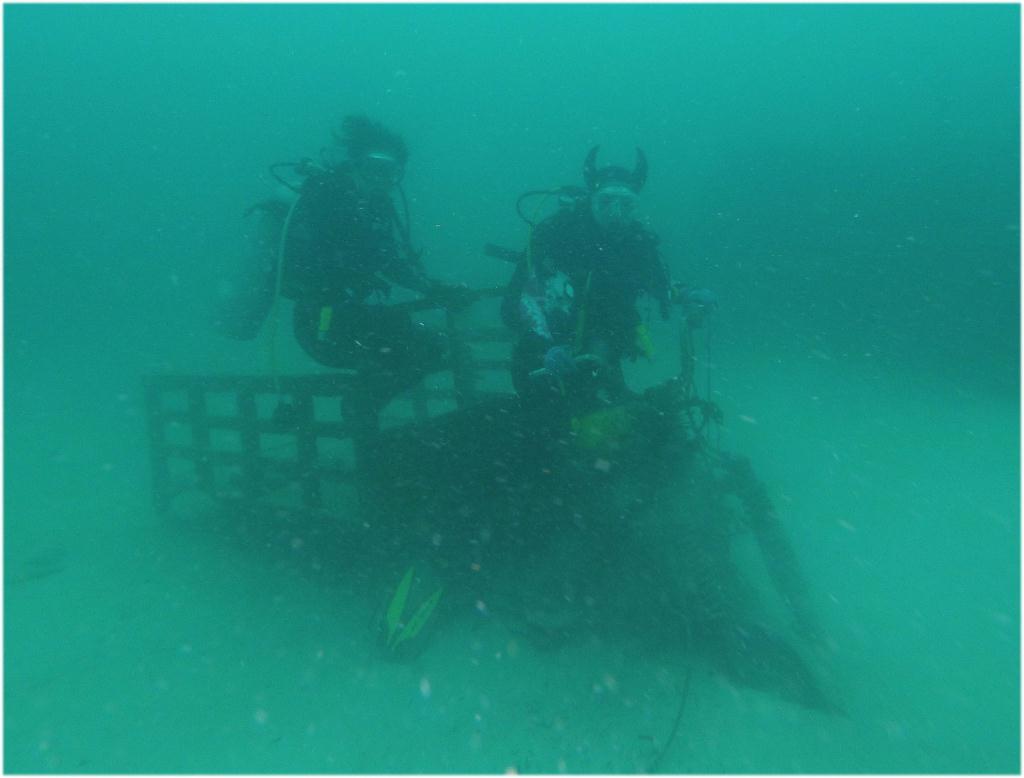 Mabul - House Reef ⚠