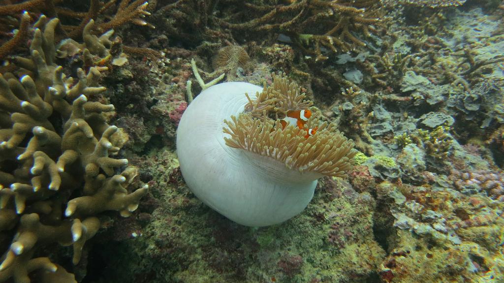 Sipadan