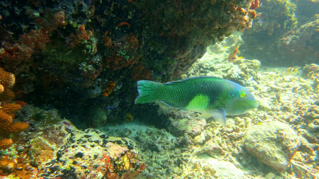 Sipadan