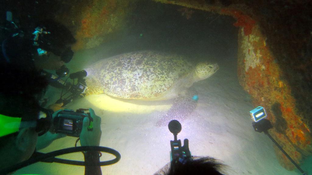 Mabul - House Reef ⚠