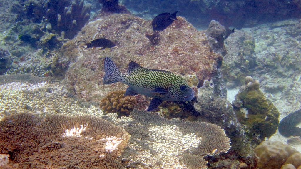Sipadan