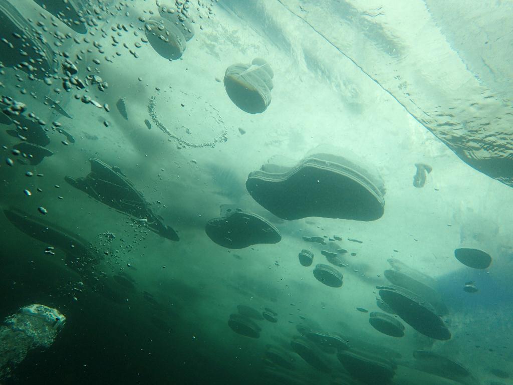 아이스다이빙 - 홍천 - 홍천 아이스 다이빙