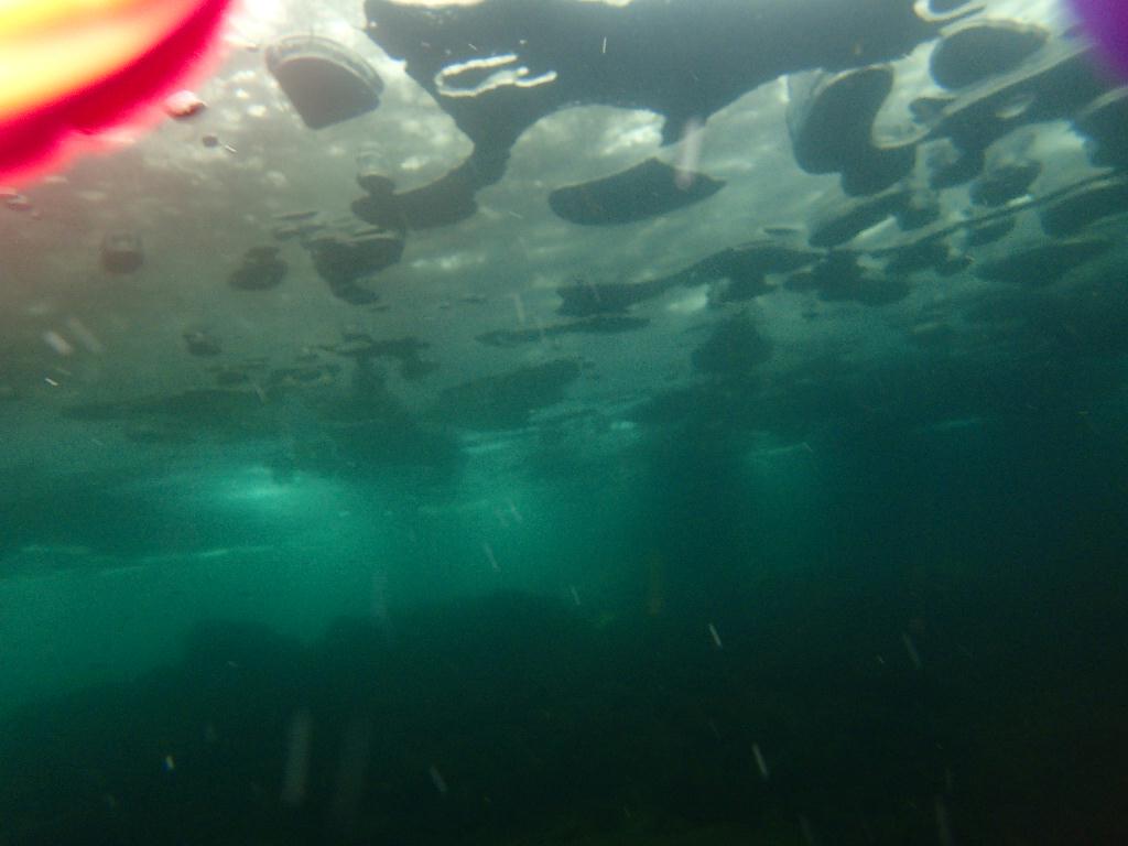 아이스다이빙 - 홍천 - 홍천 아이스 다이빙