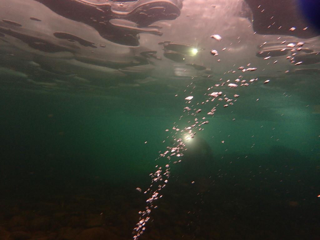 아이스다이빙 - 홍천 - 홍천 아이스 다이빙