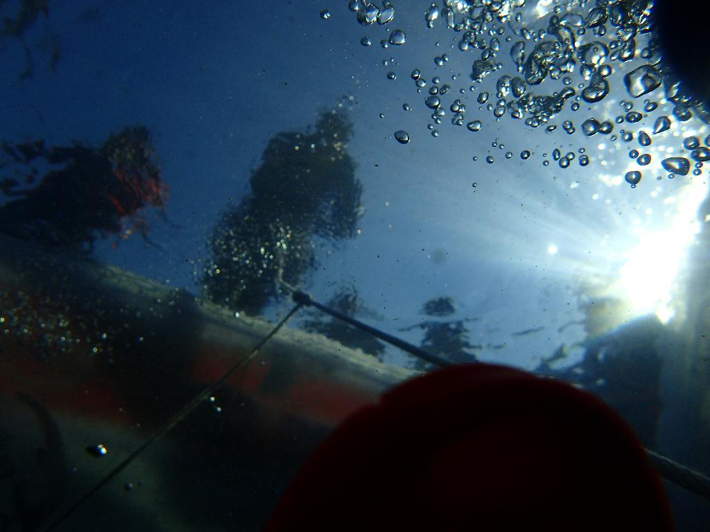 아이스다이빙 - 홍천 - 홍천 아이스 다이빙