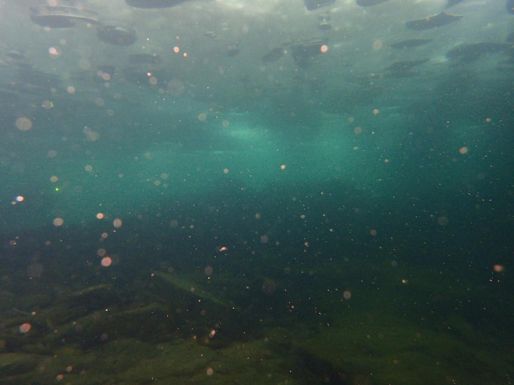 아이스다이빙 - 홍천 - 홍천 아이스 다이빙