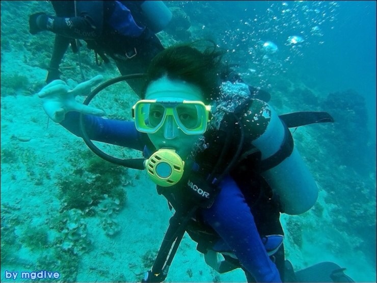 오픈워터 취득 - 세부