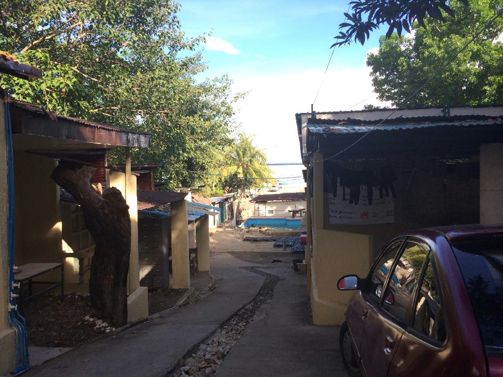 오픈워터 취득 - 세부