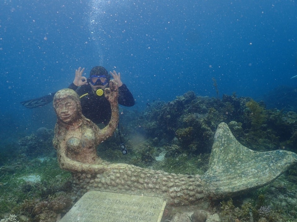 체크다이빙 - 필리핀 와이다이브 리조트 - 인어상