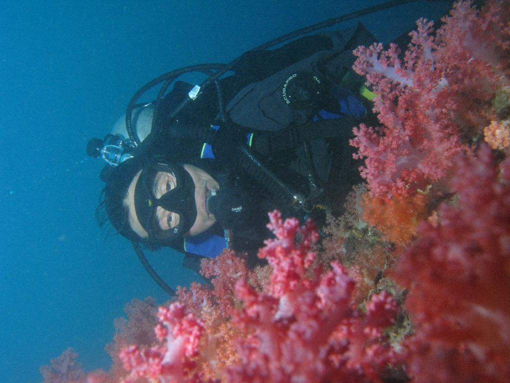 수중사진 - 섭섬 - 큰한개창