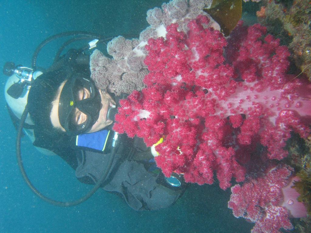 수중사진 - 섭섬 - 큰한개창