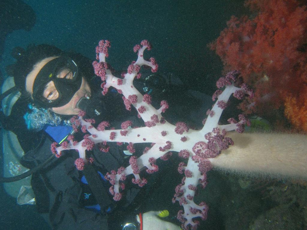 수중사진 - 섭섬 - 큰한개창