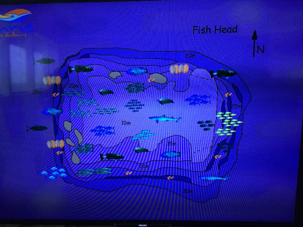 Fun Diving - Maldive - Fish head