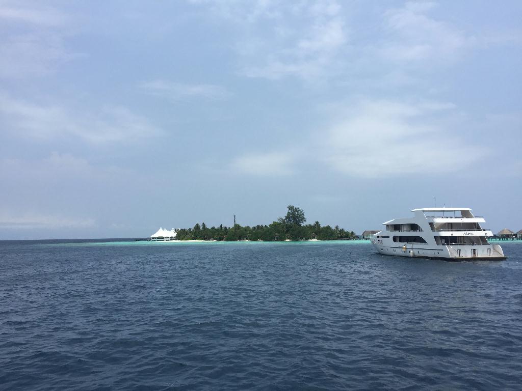 Fun Diving - Maldive - Fish head