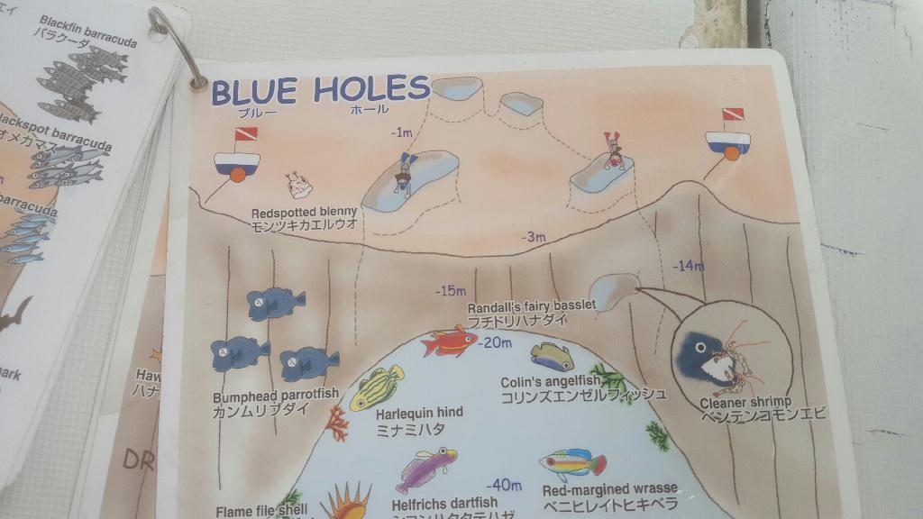 홀 다이빙 - PALAU - Blue Hole