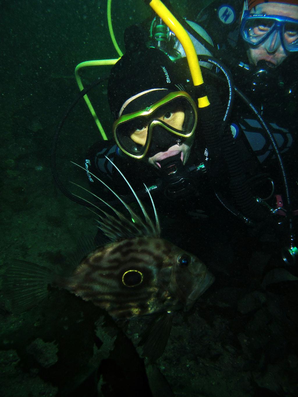 제주 굿다이버 - 섶섬 한개창