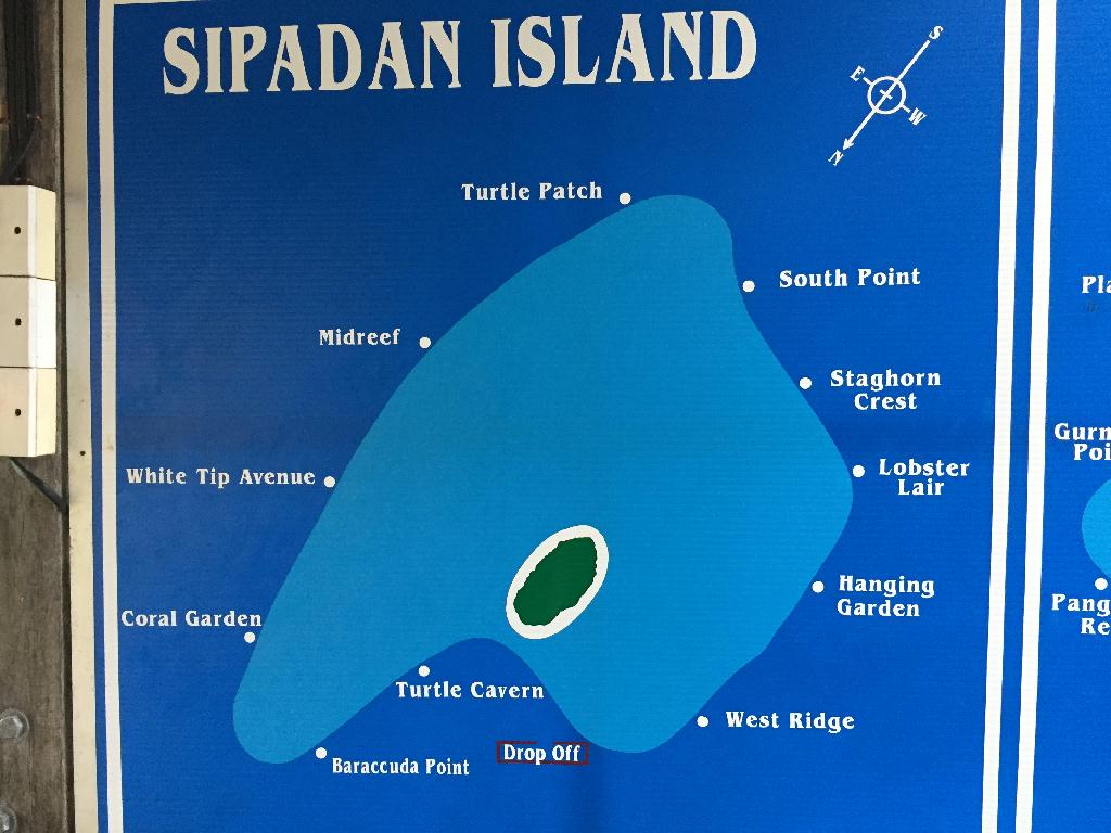 Fun diving - Sipadan Island - White tip avenue