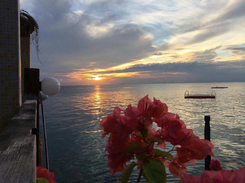 Fun diving - Sipadan Island - Coral garden