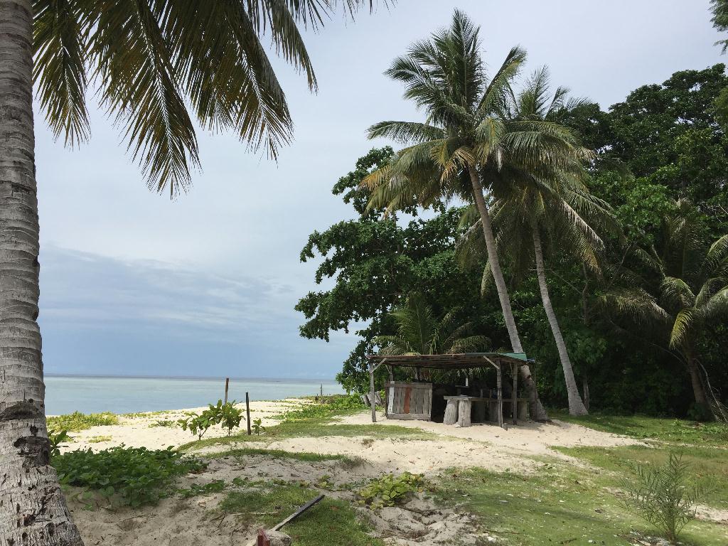Fun diving - Sipadan - Drop off