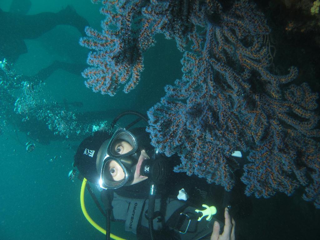 범섬 - 새끼섬직벽