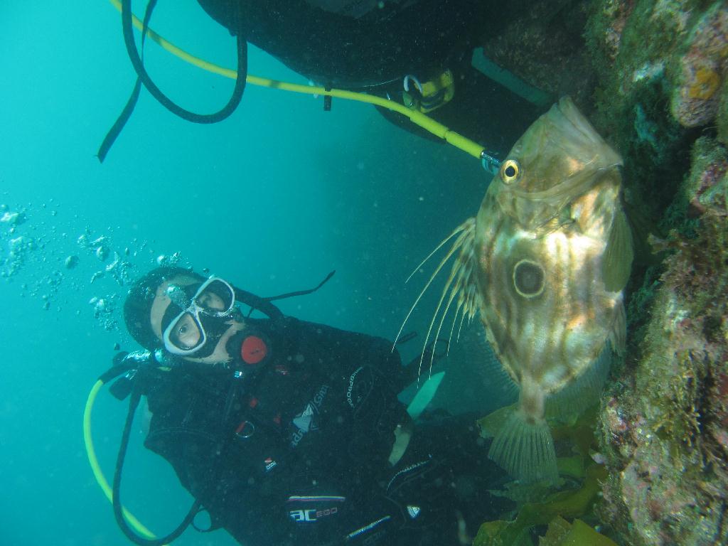 범섬 - 새끼섬직벽