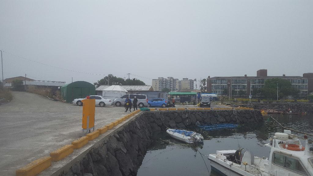 제주도 다이빙 - 제주도 - 한림 유어장 9m 자연어초