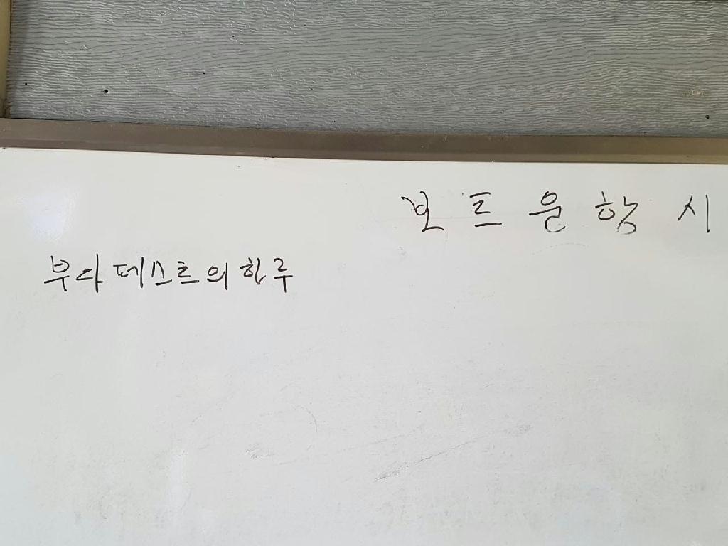 딥다이빙 - 강원도 속초시 속초스쿠버센터 - 부다페스트의 하루