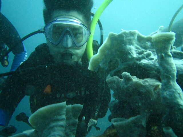 펀다이빙 - 세부